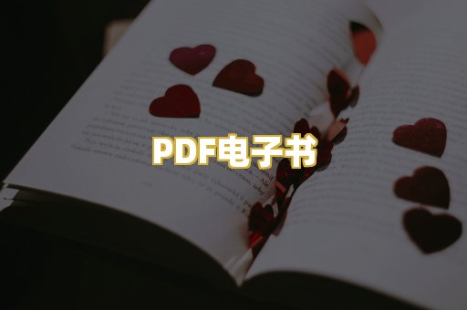 PDF电子书